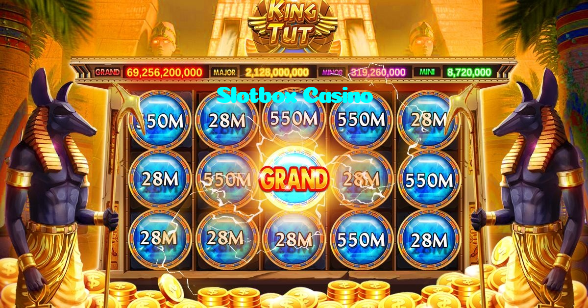 available types of Slotbox Casino bet including pre-match live express and system bets